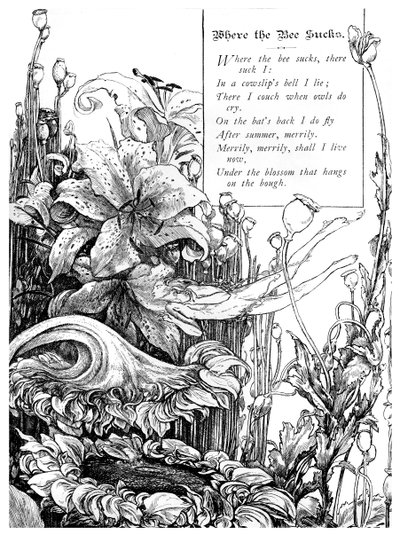 Wo die Biene saugt, 1895 von Unbekannt