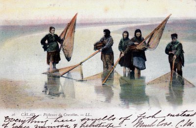 Frauen beim Garnelenfischen, Calais, 1905 von Unbekannt