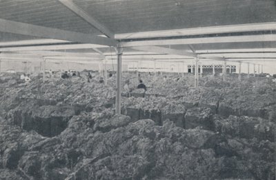 Wolle zum Verkauf in einem Showroom in Melbourne, 1923 von Unbekannt