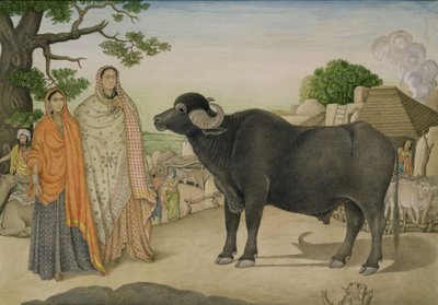 Zwei Dorffrauen und ein Büffel im Dorf Rania, um 1816, indisch von Unbekannt Unbekannt