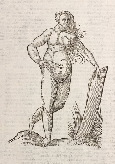 Androgynos von Unbekannt