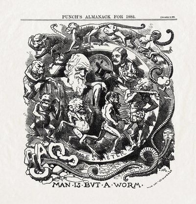 Karikatur zur Evolutionstheorie von Charles Darwin (1809-1882): "Der Mensch ist nur ein Wurm" aus "Punch", 06.12.1881 von Unbekannter Künstler