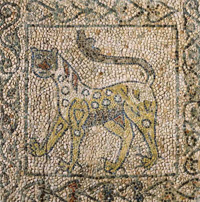 Kirche des Heiligen Johannes Evangelist, Vierter Kreuzzug, Fragmente von Mosaikböden, die einen gefleckten Panther darstellen, Ravenna, Emilia-Romagna, Italien von William M. Timlin