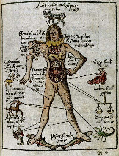 Kosmographie 16. Jahrhundert: der Zodiakalmensch von Unbekannt