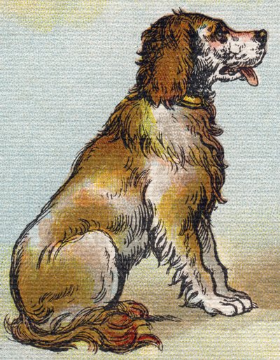 Hund. Gravur in "Alphabet de ma petite fille". Bernardin-Bechet und Fils, Buchhändler-Verleger, Paris, um 1895. von Unbekannt