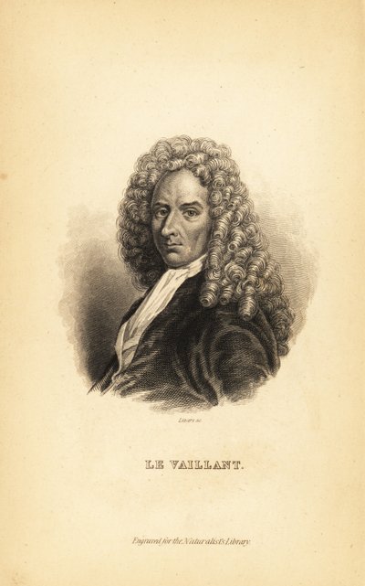 Francois le Vaillant, französischer Autor, Entdecker, Naturforscher und Ornithologe von Unbekannt