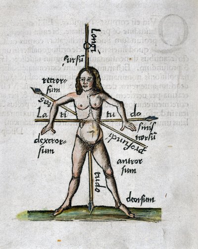 Geographie 16. Jahrhundert: menschliche Figur, die Längen- und Breitengrade darstellt, ihr Körper wird von Lanzen durchbohrt, die nach den Winkeln der imaginären Linien ausgerichtet sind von Unbekannt
