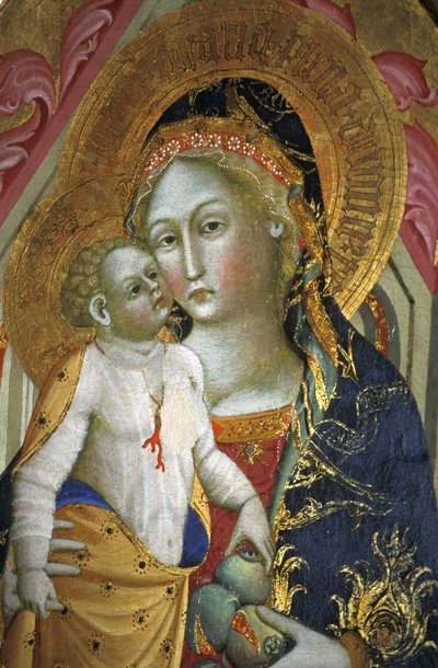 Madonna mit Kind, Francesco di Gentile, 14. Jahrhundert, Piersanti-Museum, Matelica, Marken, Italien von Unbekannt