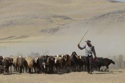 Nomadenzelte zwischen Tamar und Ashkhaneh, Iran 2022 von Unbekannter Künstler