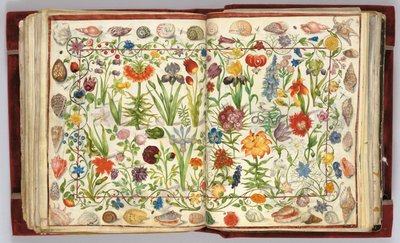 Seiten aus dem Album Amicorum von Philipp Hainhofer, 1596-1633 von Unbekannt