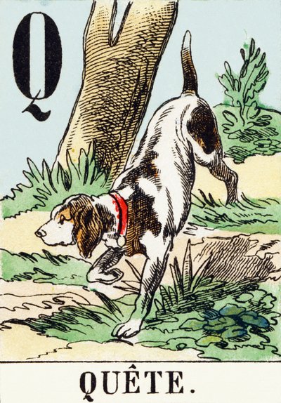 Q : Suche - Das Jagdalphabet, ca. 1890 (Gravur) von Unbekannt
