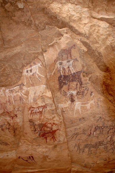 Felskunst, Vorgeschichte: Felsmalerei einer Gruppe von Rindern und Figuren in einem verzierten Schutzraum im Uweinat-Massiv, Sudan (Karkur-Talh oder Karkur Talh). Zeitraum von 8000 bis 3000 Jahre v. Chr. Fotografie von Unbekannt