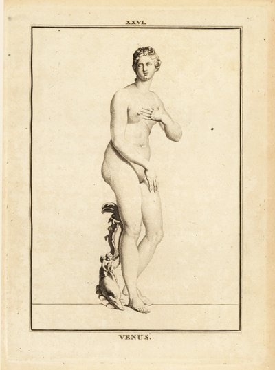 Statue der Venus, römische Göttin der Liebe, Schönheit, Sexualität und Fruchtbarkeit von Unbekannt