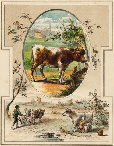Die Kuh (Illustration aus „Mon premier Grand Alphabet“) von Unbekannt
