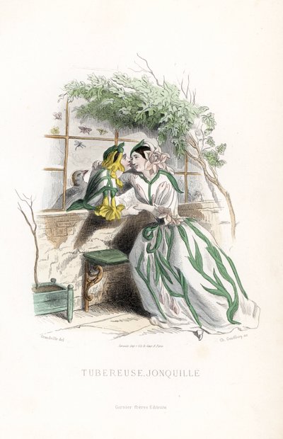 Die Knollenfee und ein Elf-Narzisse werden auf einer Gartenbank neben einer Mauer umworben - Radierung von Charles Geoffroy nach einer Illustration von Jean Ignace Isidore Gerard dit J.J.Granville für Les fleurs animées von Unbekannter Künstler