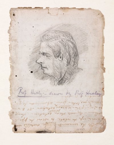 Thomas Henry Huxley, englischer Biologe, Mitte bis Ende des 19. Jahrhunderts von Unbekannt