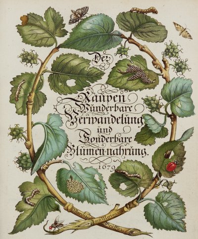 Titelseite aus einem Naturgeschichtsbuch von Alec Hunter