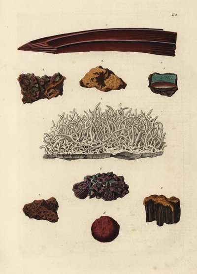 Varietäten von Eisenerz. Handkolorierter Kupferstich nach einer Illustration aus Georg Wolfgang Knorrs Deliciae Naturae Selectae oder Kabinet van Zeldzaamheden der Natuur, Blusse und Sohn, Nürnberg von Unbekannter Künstler