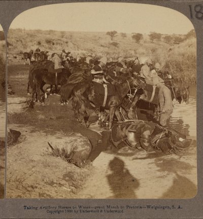 Bewässerung von Artilleriepferden, Welgelegen, Südafrika von Underwood and Underwood