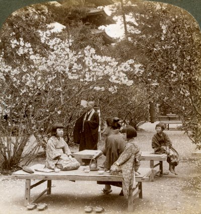 Eine Familie genießt ein Picknick unter den Kirschblüten, Omuro Gosho, Kyoto, Japan, 1904 von Underwood and Underwood