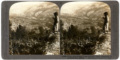 Eine Seidenraupenplantage in den Libanonbergen, Syrien, 1900er Jahre von Underwood and Underwood