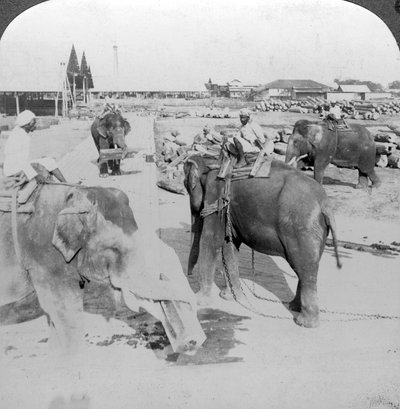 Elefanten arbeiten in einem Holzlager, Indien von Underwood and Underwood