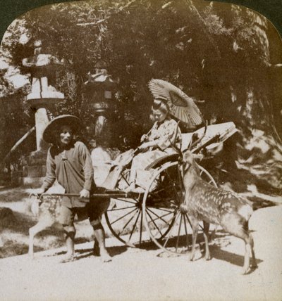 Mädchen füttert heilige Hirsche auf dem Weg zum Gebet, Gelände des Kasuga-Tempels, Nara, Japan, 1904 von Underwood and Underwood