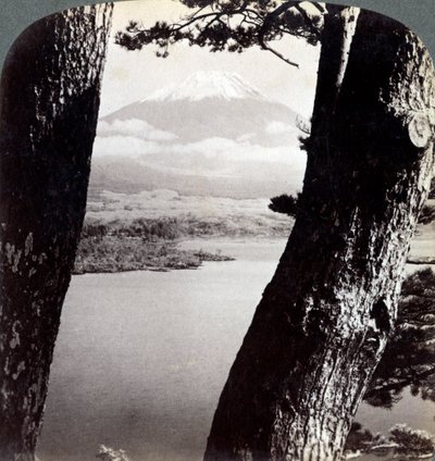 Der Berg Fuji, gesehen vom Nordwesten, durch Kiefern am Lake Motosu, Japan, 1904 von Underwood and Underwood