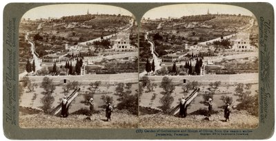 Der Garten Gethsemane und der Ölberg, Palästina von Underwood and Underwood