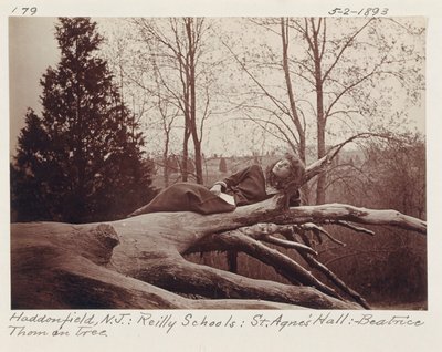 [Beatrice Thom auf Baum, Haddonfield, New Jersey] von Unidentified