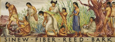 Sehne, Faser, Schilf, Rinde (Wandbildstudie) von Unidentified