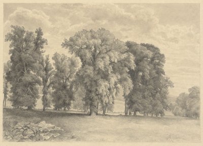 Wiese und Bäume von Unknown