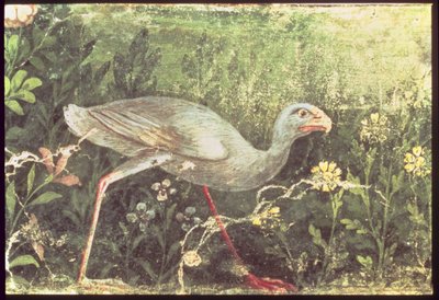 Wandmalerei eines Sultan-Huhns in einem Garten, Pompeji, 1. Jahrhundert n. Chr. von Unknown