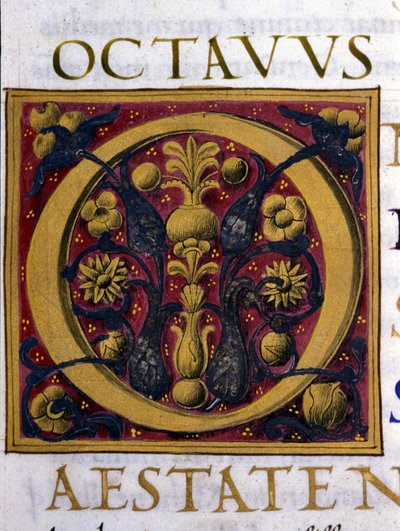 Alphabet: miniaturisierter Buchstabe O von Unknown artist