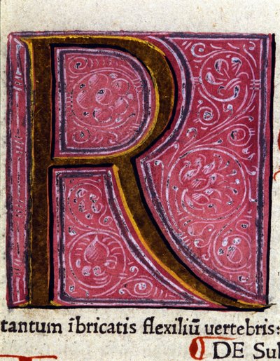 Alphabet: miniaturisierter Buchstabe R von Unknown artist