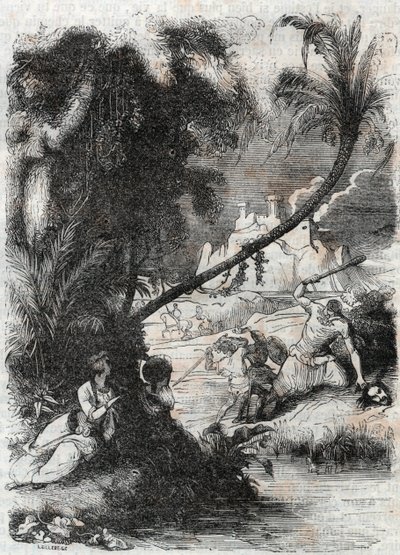 Schlacht von Griffon und Aquilant gegen Orrile - Gravur von 1851 aus „Furioser Roland“ (Orlando furioso) (16. Jahrhundert) von Ludovico Ariosto, bekannt als der Ariosta - Ausgabe übersetzt aus dem Italienischen von Graf von Tressan und veröffentlicht von G von Unknown artist