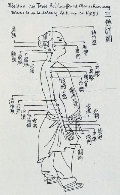 Chinesische Akupunktur: der Meridian der drei Erwärmer von Unknown artist