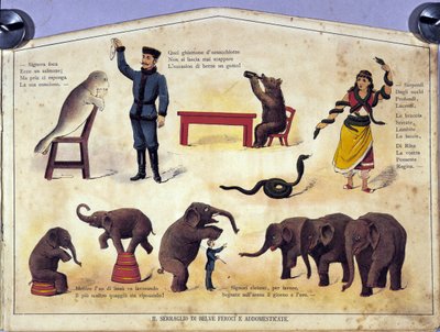Zirkus: eine Tafel, die verschiedene Arten von Vorführungen gelehrter Tiere zeigt, darunter Robben, Elefanten, Bären, Schlangen. Illustration des 19. Jahrhunderts von Unknown artist