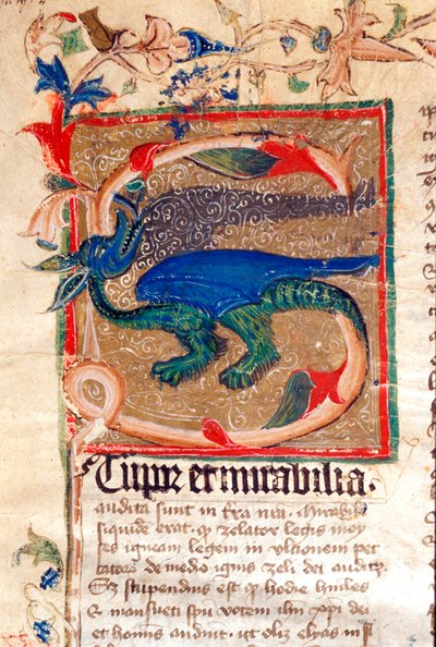 Drachenverzierte Initiale (Detail) von Unknown artist