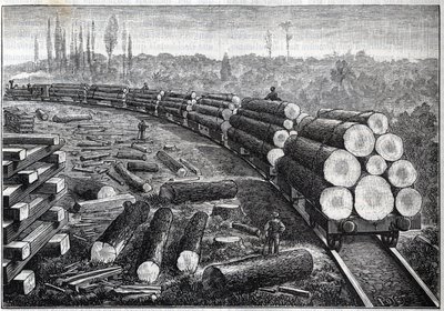 Ausbeutung der Wälder der Vereinigten Staaten. Temporäre Eisenbahnen mit Holzschienen. Wagen transportieren Baumstämme. Gravur in „La Nature“ von Unknown artist