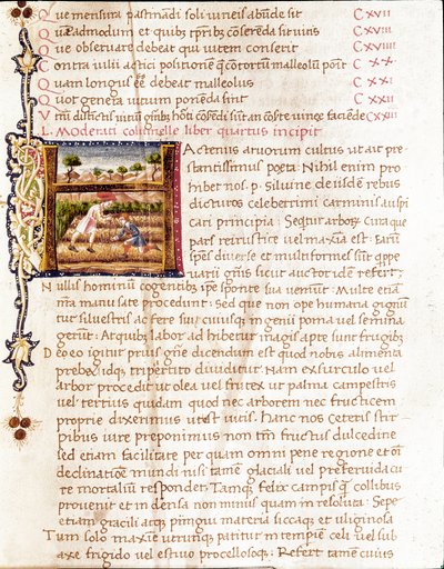 Bauern pflanzen Weinberge von Unknown artist