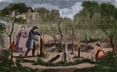 Gartenbau: Hauptmethoden der Pflanzenverpflanzung. Gravur von 1860 von Unknown artist