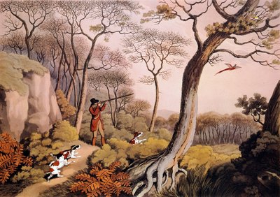 Fasanenjagd in England. 19. Jahrhundert Gravur. Gien, Jagdmuseum von Unknown artist