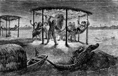 Illustration aus "The Naturalist on the River Amazon" von Henry Walter Bates von Unknown artist