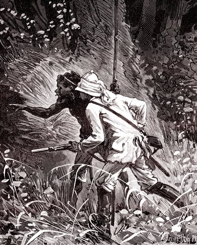 In den Kautschukfeldern (Hevea) im Dschungel von Guyana von Unknown artist