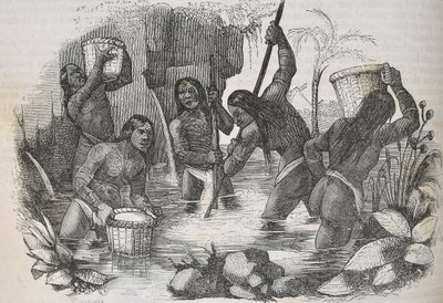 Indianer von der Insel Hispaniola beim Goldwaschen von Unknown artist