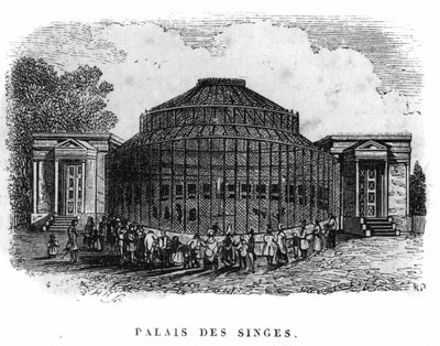 Jardin des Plantes in Paris 1861: Palast der Affen von Unknown artist