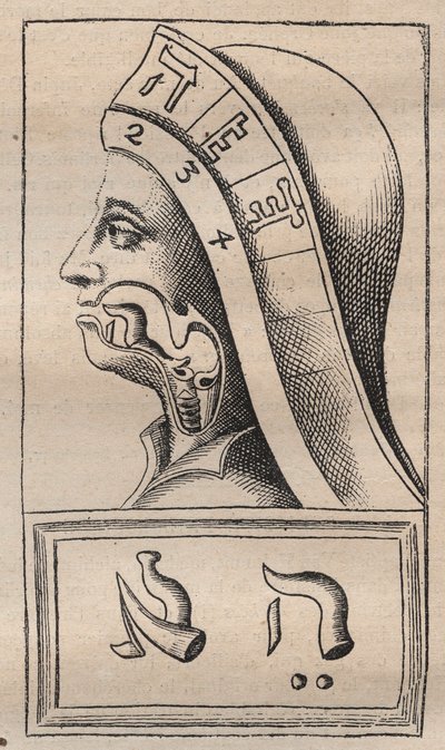 Kabbala - Illustration aus: Alphabeti vere naturalis Hebraici brevissima delineatio (Das Alphabet der Natur) von Franciscus Mercurius van Helmont (1618-1699) - In diesem Werk behauptete van Helmont, dass jeder Buchstabe von Unknown artist