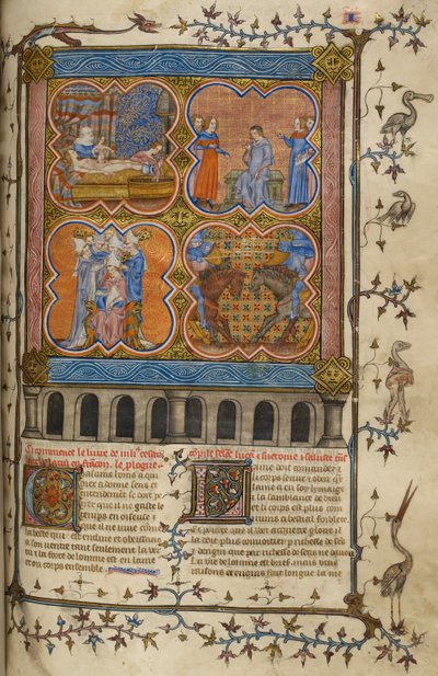 Das Leben von Julius Caesar: vier Miniaturen, die seine Geburt, Scheidung, Pontifikat und Kampf mit Pompeius zeigen; Text mit verzierten Initialen und Rand mit Vögeln und Grotesken von Unknown artist