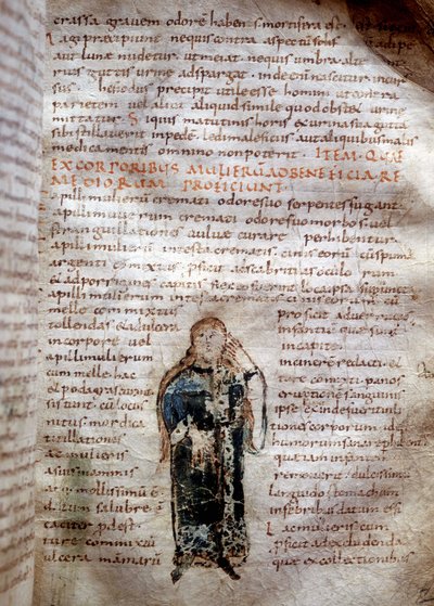 Manuskriptseite aus „De simplicibus medicamentis“ von Claude Galien. 8. oder 9. Jahrhundert. Governativa von Lucca von Unknown artist
